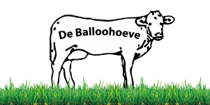 BallooHoeve logo